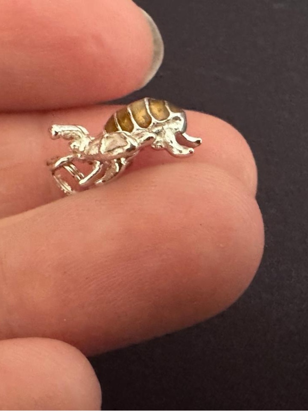 Unbranded Silver and Brown Beetle Reptile Accent Charm